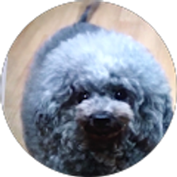 Profile photo of maria suazo