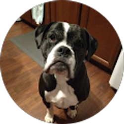 Profile photo of Caleb Smith