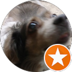 Profile photo of W Bell