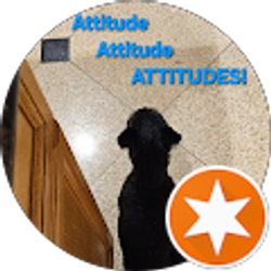 Profile photo of Donna Yumiko Tsang