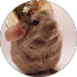 Profile photo of Christine Woodard