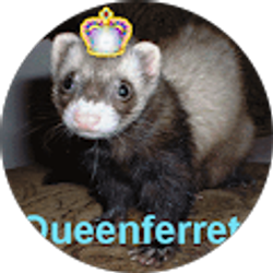 Profile photo of María Santibanez