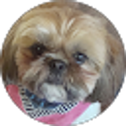 Profile photo of Mary Schmall