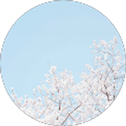 Profile photo of princess posadas