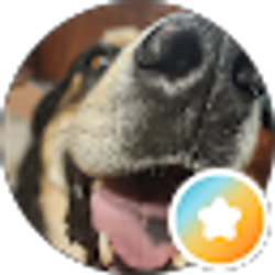 Profile photo of Brent Rigsby