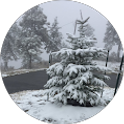 Profile photo of Edith Sanchez