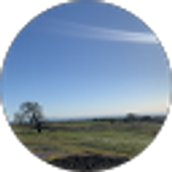 Profile photo of Yaroslava