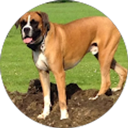 Profile photo of Debbie Crandall