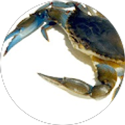 Profile photo of Lou Quick