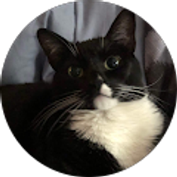 Profile photo of Annie Peffer