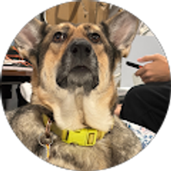 Profile photo of James Hage