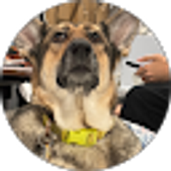 Profile photo of James Hage