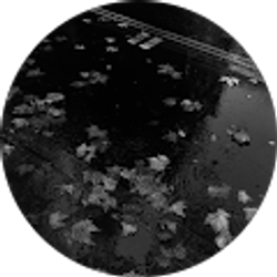 Profile photo of Kaden Tan