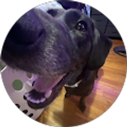 Profile photo of Hailee DeVore