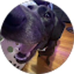 Profile photo of Hailee DeVore