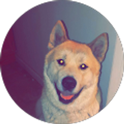 Profile photo of Jackie Moon