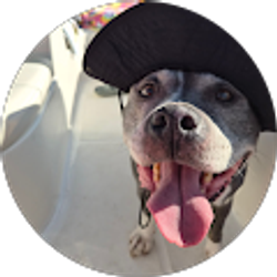 Profile photo of Sierra Chamberlain