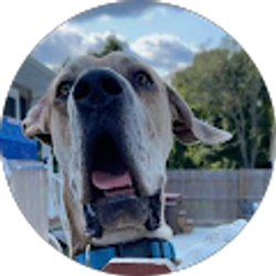 Profile photo of Ray Fulkrod