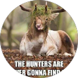 Profile photo of FlexedWater 75