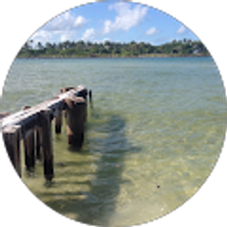 Profile photo of Robert Alfonso