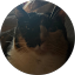 Profile photo of nilary