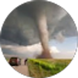 Profile photo of Marty McKewon