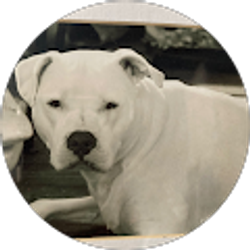 Profile photo of K G