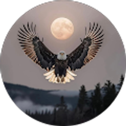 Profile photo of Jeff Orvis