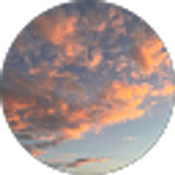 Profile photo of Dayna Hanners