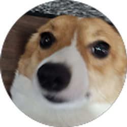 Profile photo of Marcus Yung