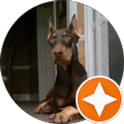 Profile photo of BRANDY PATTERSON