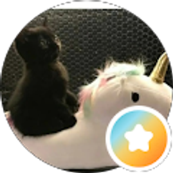 Profile photo of Rich