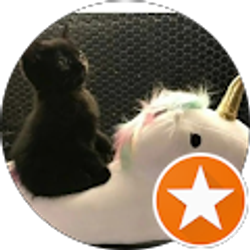 Profile photo of Rich