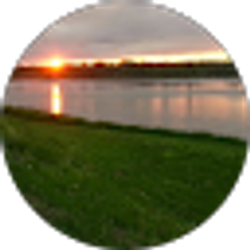 Profile photo of Rachel Dort