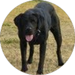 Profile photo of Jeff Miles