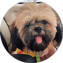 Profile photo of Ma Lexie Cordero