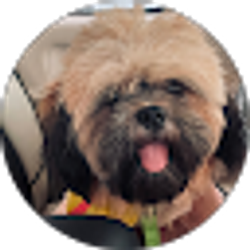 Profile photo of Ma Lexie Cordero