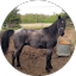 Profile photo of lisa autrey