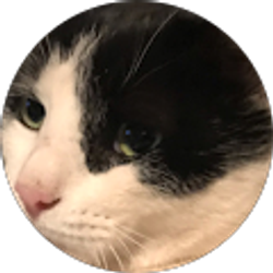 Profile photo of La gallinita roja