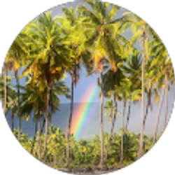 Profile photo of Aleta Downing