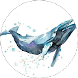 Profile photo of Forrest Powars