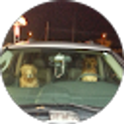 Profile photo of Mark Clayborough