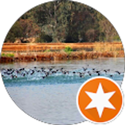 Profile photo of Abdulaziz Hussein