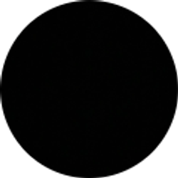 Profile photo of Taylor _