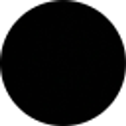 Profile photo of Taylor _