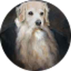 Profile photo of Maxx Macica