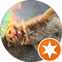 Profile photo of Anastasia