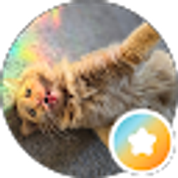 Profile photo of Anastasia