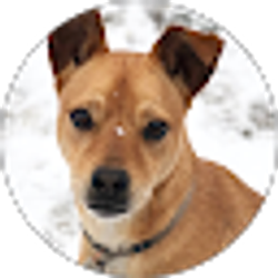 Profile photo of Emily Madsen