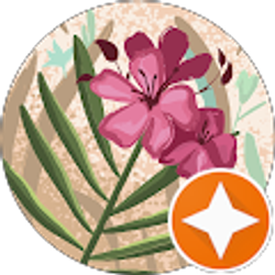 Profile photo of Christine Hinokuma